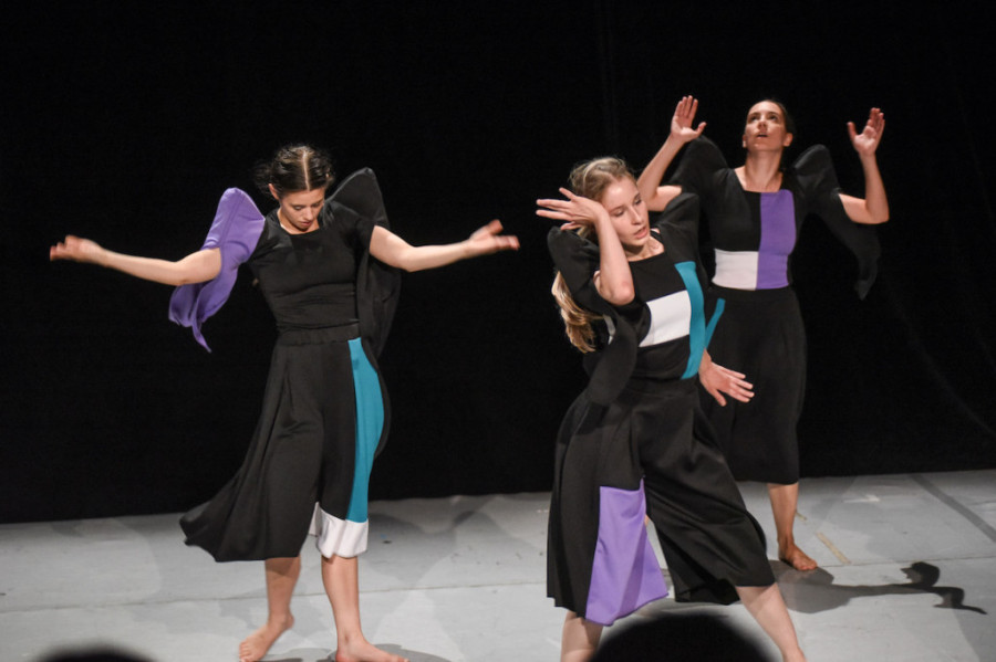 Ovacije za ples koji je očarao publiku: Premijera predstave "Femine" u Madlenianumu (FOTO)