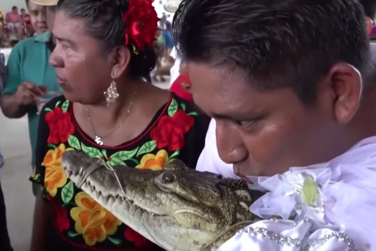 Gradonačelnik se venčao sa krokodilom! (VIDEO)