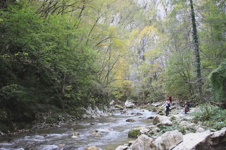 Ovo je jedna od dve najčistije reke u čitavoj Srbiji: Veliki Rzav prirodni dragulj, protiče kroz četiri veličanstvena kanjona (FOTO)