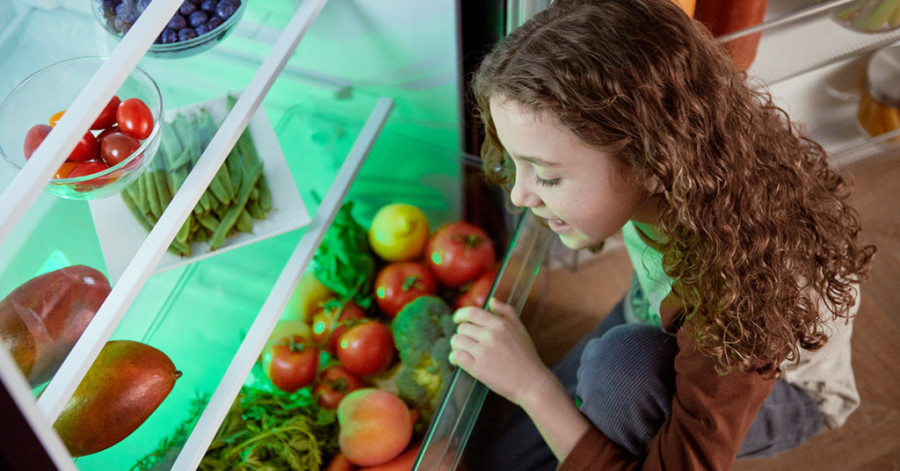 Stručnjak savetuje: Šta sve treba da znamo o kuhinjskim uređajima i KAKO DA IZABEREMO DOBAR FRIŽIDER