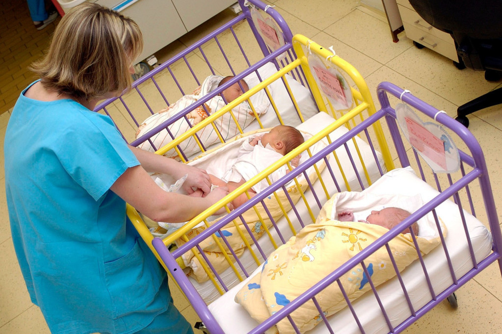 Jezivo mučenje u šumi: Učenike vezali za drvo, tukli i snimali telefonom