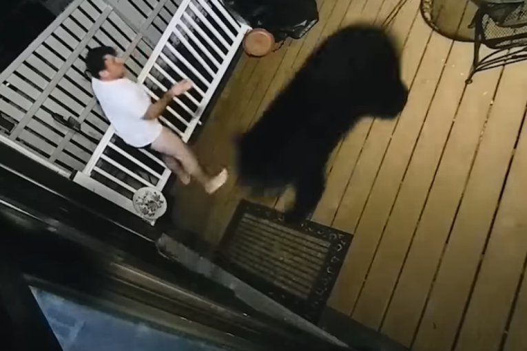 Izašao da proveri zašto mu psi laju, pa mu zamalo medved ušao u kuću! (VIDEO)