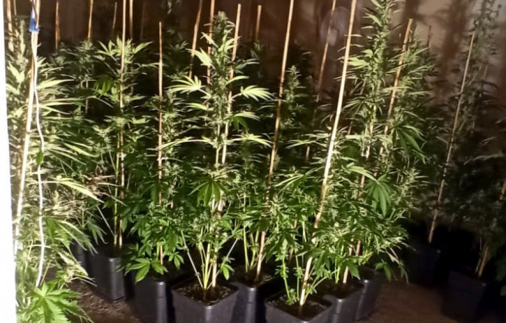 Čudo u Prokuplju: Pogledajte modernu fabriku droge (FOTO)