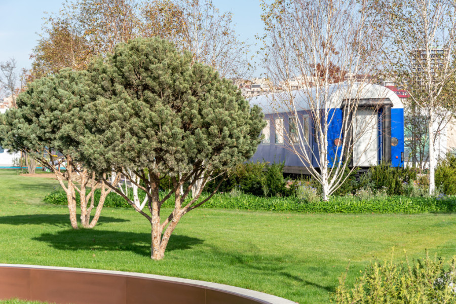 Pronađite novi porodični dom u jednoj od najpoželjnijih ulica za život u Beogradu