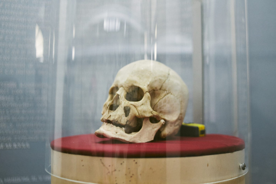 Ovako izgledaju junaci čije su lobanje Turci uzidali u Ćele-kulu: Prvi put nakon 2 veka, pred nama lica ljudi poginulih u bici na Čegru