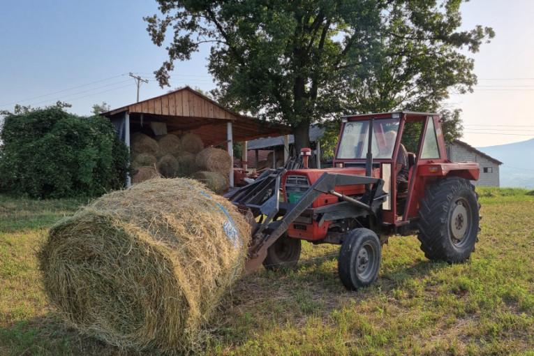Danas počinje popis poljoprivrede u Srbiji: Čime se raspolaže i šta je potrebno
