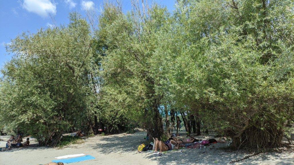 Ovo su srpski Maldivi! Sremski Karlovci kriju misteriozno ostrvo Ko Čang: Atmosfera Tajlanda nasred Dunava! (FOTO/VIDEO)