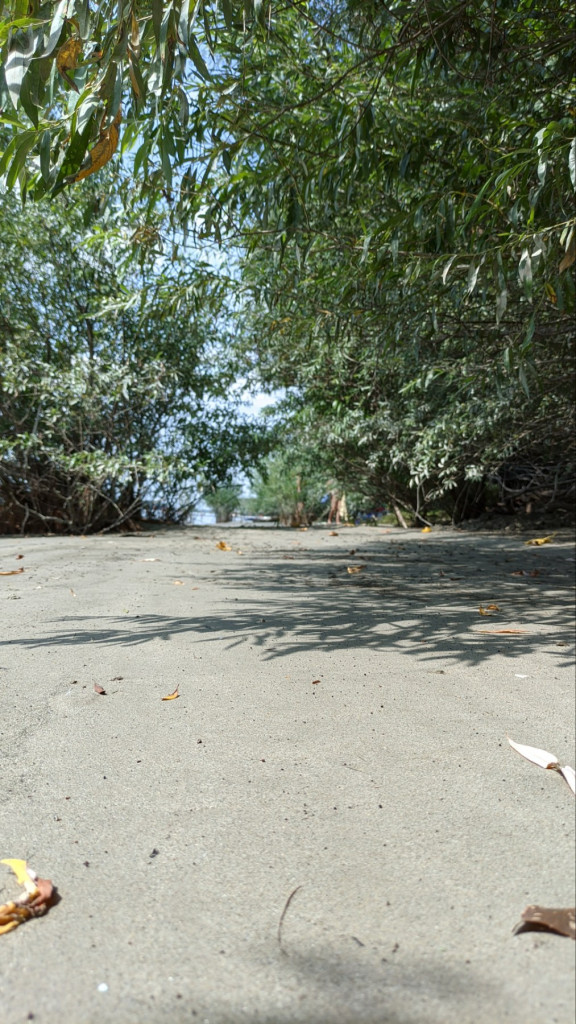 Ovo su srpski Maldivi! Sremski Karlovci kriju misteriozno ostrvo Ko Čang: Atmosfera Tajlanda nasred Dunava! (FOTO/VIDEO)