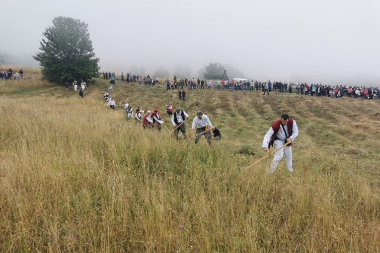 Bira se najbrži, najjači, ali i onaj koji ima najlepši stas: Počinje srpski kosački Vimbldon (FOTO)