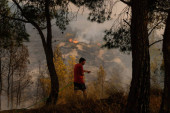 Vatrogasci nastavljaju borbu sa požarima u Grčkoj: Vetar otežava gašenje, uhapšen muškarac