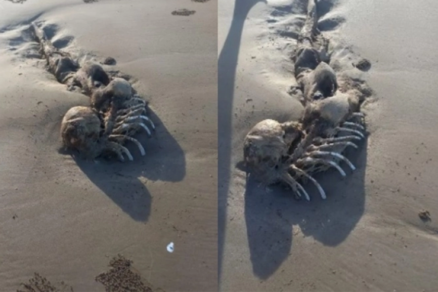 Snimci misteriozne "vanzemaljske sirene" koja je isplivala na plažu šokirali naučnike: "Ima noge i vrlo je dlakava" (VIDEO)