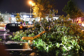 Haos i u Novom Sadu: Oborena brojna stabla, a usred oluje se pojavila i duga! (VIDEO)