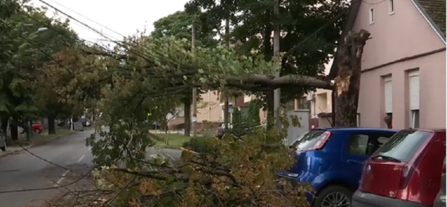 Posledice snažnog nevremena u Srbiji: Olujni vetar lomio stabla, nosio krovove i kranove, pojedini delovi zemlje bili bez struje! (FOTO)
