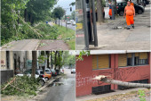 Posledice snažnog nevremena u Srbiji: Olujni vetar lomio stabla, nosio krovove i kranove, pojedini delovi zemlje bili bez struje! (FOTO)