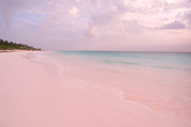 Da li znate gde se nalazi najlepša ružičasta plaža? Morsko čudo koje privlači hiljade turista