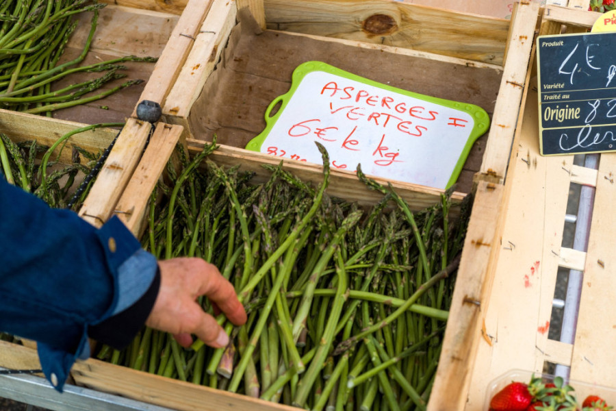Gaji biljku za bogataše: Počeo od saksije na terasi, danas zarađuje 20.000 evra godišnje