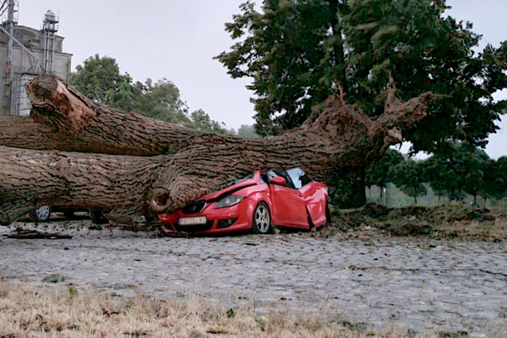 Horor! Auto posle oluje izgleda kao da ga je pregazio parni valjak! Pogledajte šta je ostalo od kola nakon pada ogromnog drveta (FOTO/VIDEO)