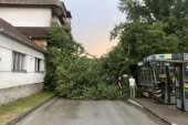 Zastrašujuće slike olujnog nevremena u Republici Srpskoj: Padao grad veličine oraha, oluja čupala drveće (FOTO)