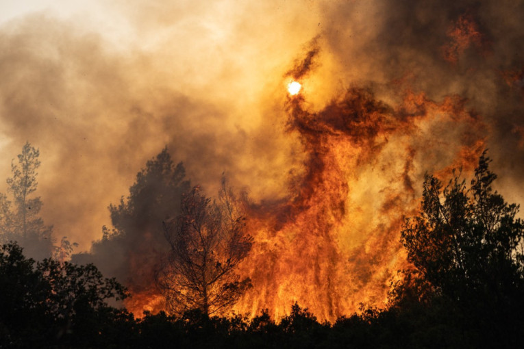 Buktinja na ostrvu Krit: Grčka podigla nivo opasnosti od izbijanja šumskih požara!