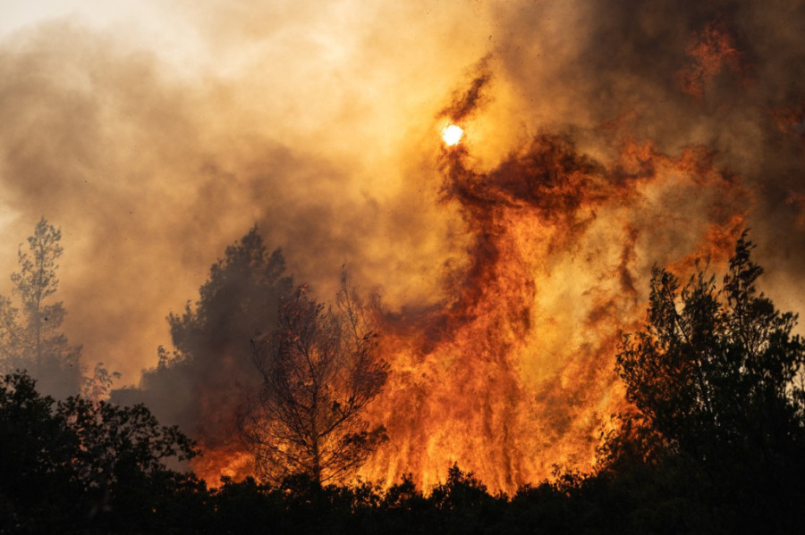 Šumski požari besne nedaleko od Atine: U vatrenoj stihiji stradao pastir - nagutao se dima kada je otišao da spasi svoje životinje