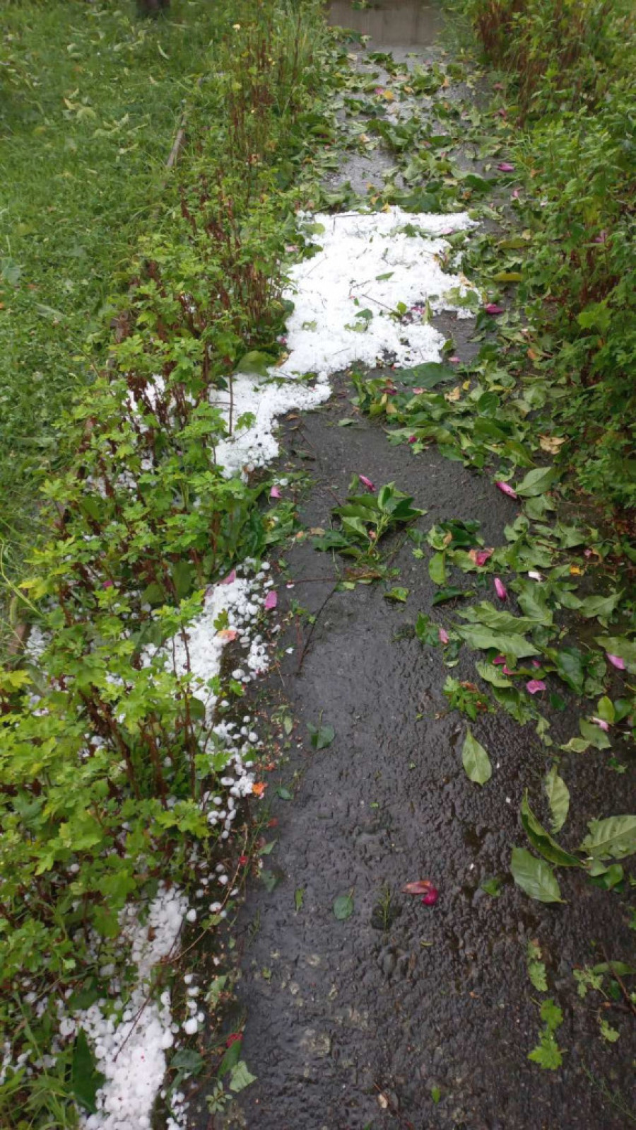 Uživo: Superćelijska oluja u Srbiji, nevreme treći dan