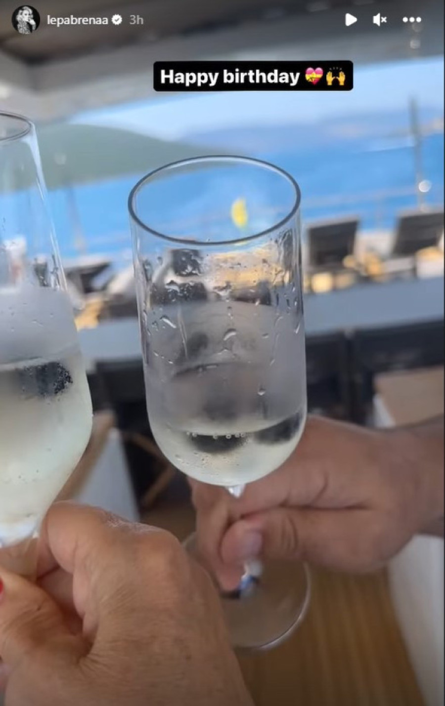 Rođendan na jahti: Brena i Boba nazdravili u njegovu čast, evo koliko godina je napunio pevačicin muž (FOTO)