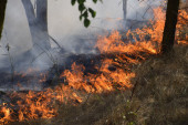 Požari u Evropi 2023. godine bili među najgorim u veku, brojke u prva tri meseca zabrinjavajuće, a šta čeka Srbiju