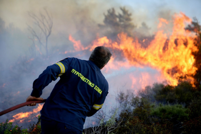 Veliki šumski požar kod Atine: Vatrogasci i 17 kanadera pokušavaju da ukrote stihiju