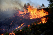 Na Rodosu proglašeno vanredno stanje: Vatrena stihija okovala ostrvo - izvedena najveća evakuacija ikada u Grčkoj