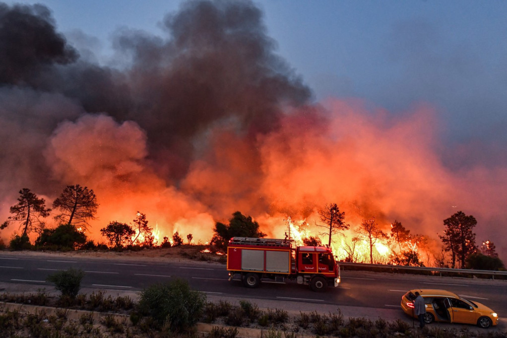 Bukte požari u Turskoj: Vatrogasci jedva obuzdavaju vatrenu stihiju - u pomoć pritekli i helikopteri!