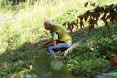 "Prekrstimo se, pomolimo Bogu i krenemo u šumu": Ovo je priča "poslednjih Mohikanaca" iz Srbije, vrednih drvoseča (FOTO)