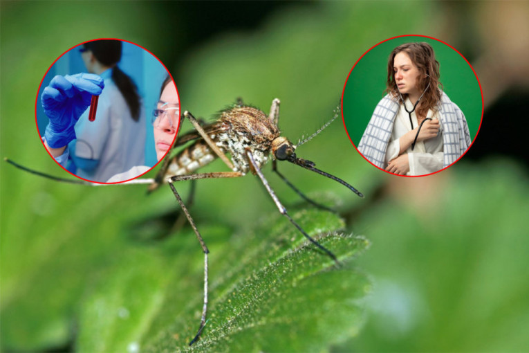 Na naučnom skupu u SANU izneta nova teza o opasnoj pretnji! Ko je imao koronu, lakše će da dobije opasan virus koji prenose komarci?