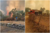 Požari izbili i na Tasosu: Vatru pokrenulo drvo koje je palo na kablove (VIDEO)