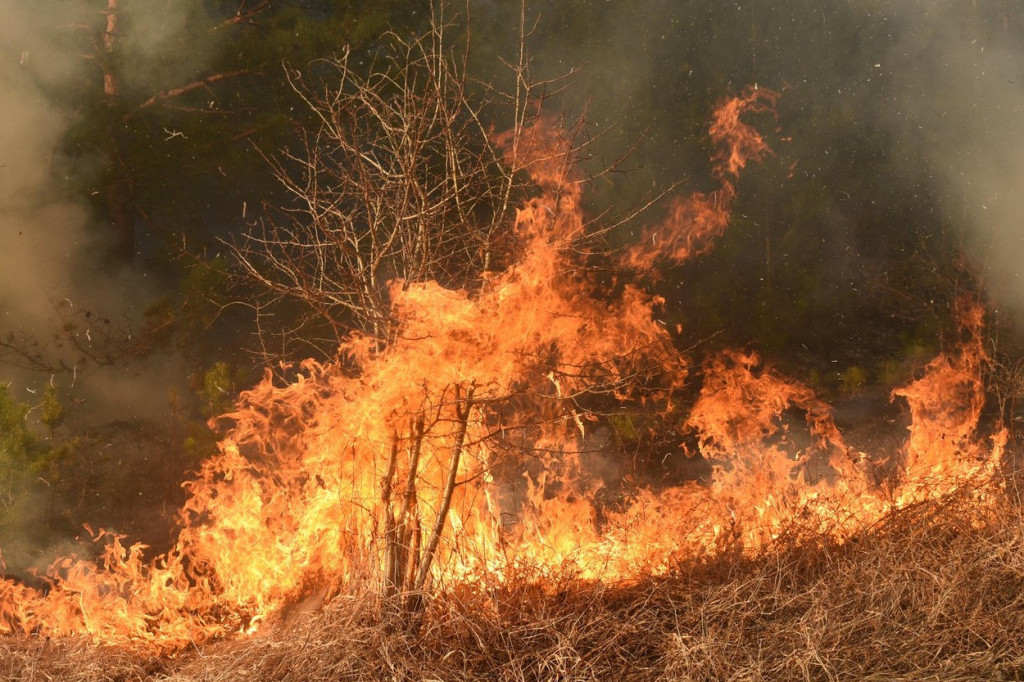 Podgorica u plamenu: Buknuo požar, vatrogasci vode borbu sa vatrenom stihijom (VIDEO)