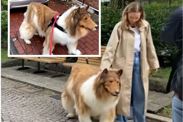 Potrošio 14 hiljada dolara da postane pas: Ovo je njegova prva šetnja, a prijatelji ne znaju da ne misle da je čudan