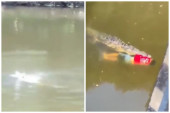 Nezapamćena tragedija u Kostariki: Krokodil ubio poznatog fudbalera, zaskočio ga posle skoka s mosta (VIDEO)