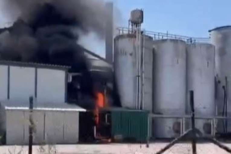 Crni dim nad Dobanovcima: Gori fabrika (VIDEO)