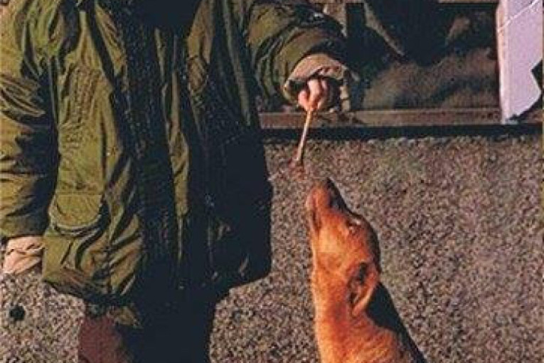 Filmska priča iz izbegličke kolone tokom "Oluje": Keruša Dena prešla stotine kilometara od Petrinje do Rume i našla svoje vlasnike!