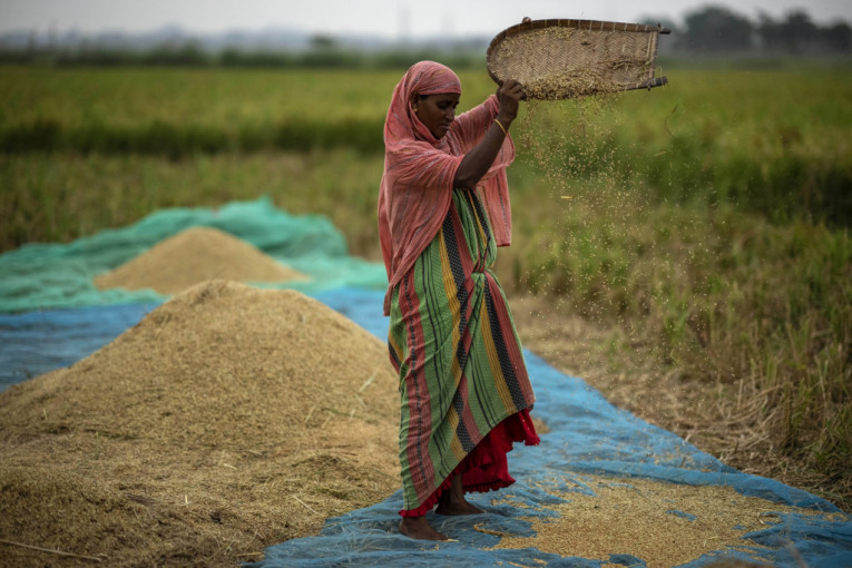 Signal koji je uzburkao celo tržište prehrambenih proizvoda: Indija zabranila izvoz pirinča