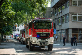 Drama u Zemunu: Dete ostalo zaglavljeno na drvetu, vatrogasci ga spasili u ponoć