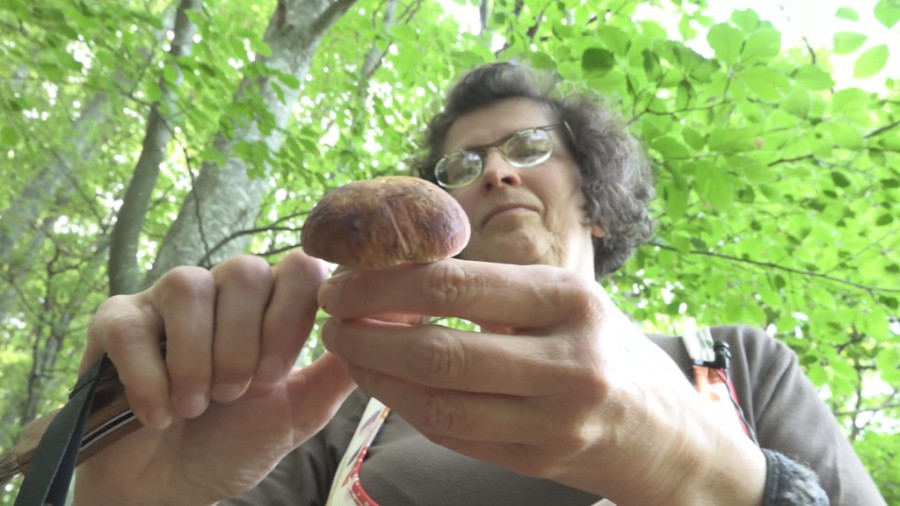 Milka je napustila novinarstvo, a sada proučava mistični svet gljiva: Nikada se nije pokajala zbog svoje odluke da napusti Užice