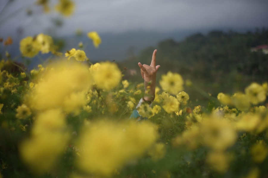 Britanija u znakovni jezik ubacila termine vezane za klimatske promene