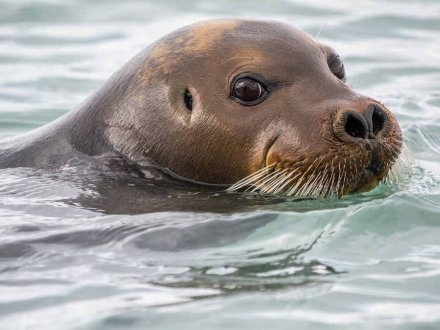 Žena u hotelskoj sobi zatekla neobičan prizor: Bila je mrzovoljna što joj prekidam dremež