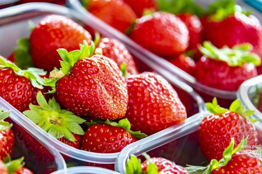Praznik koji budi čulo ukusa i mirisa: Evo kako izgleda meni za savršenu prvomajsku proslavu (RECEPT)