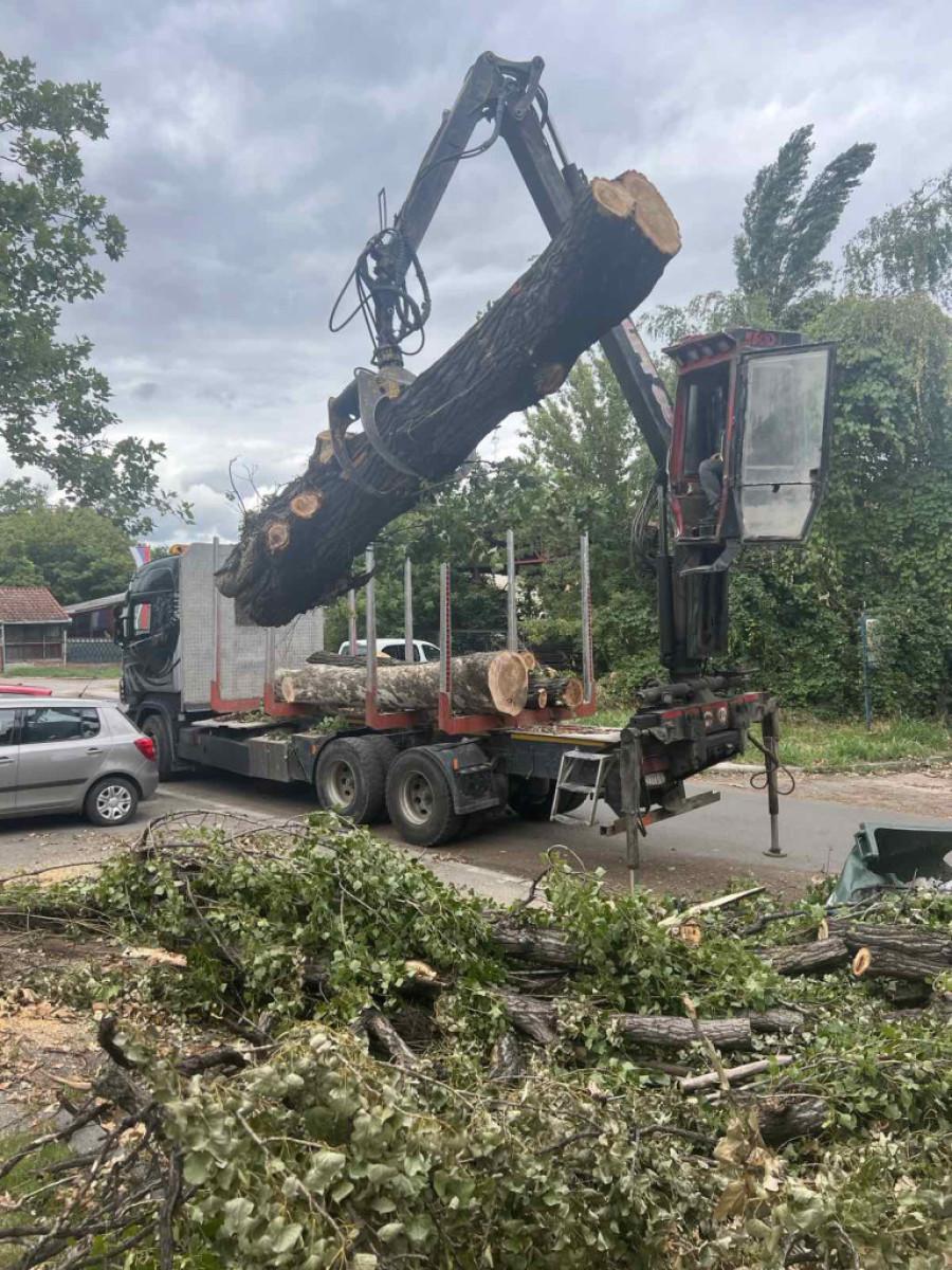 Godine će biti potrebne za obnovu: Nevreme opustošilo šume u Vojvodini, stradao i životinjski svet