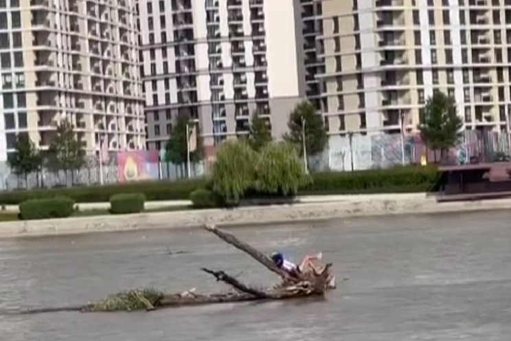 "Ko nema za jahtu, i drvo je top": Neverovatan snimak sa Save - čovek leži na deblu koje pluta usred reke (VIDEO)