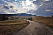 "Šta je bre ovo, spali ga": Zastrašujuće stvorenje snimljeno na Tari, sve ih češće ima u Srbiji! (FOTO)