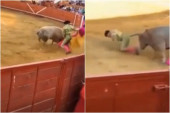 Bik proburazio matadora, zario mu rogove u zadnjicu (VIDEO)