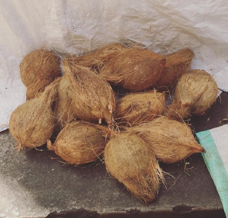 Kameni grad - biser Zanzibara! Saznajte šta obavezno treba posetiti u prestonici "ostrva začina" (FOTO)