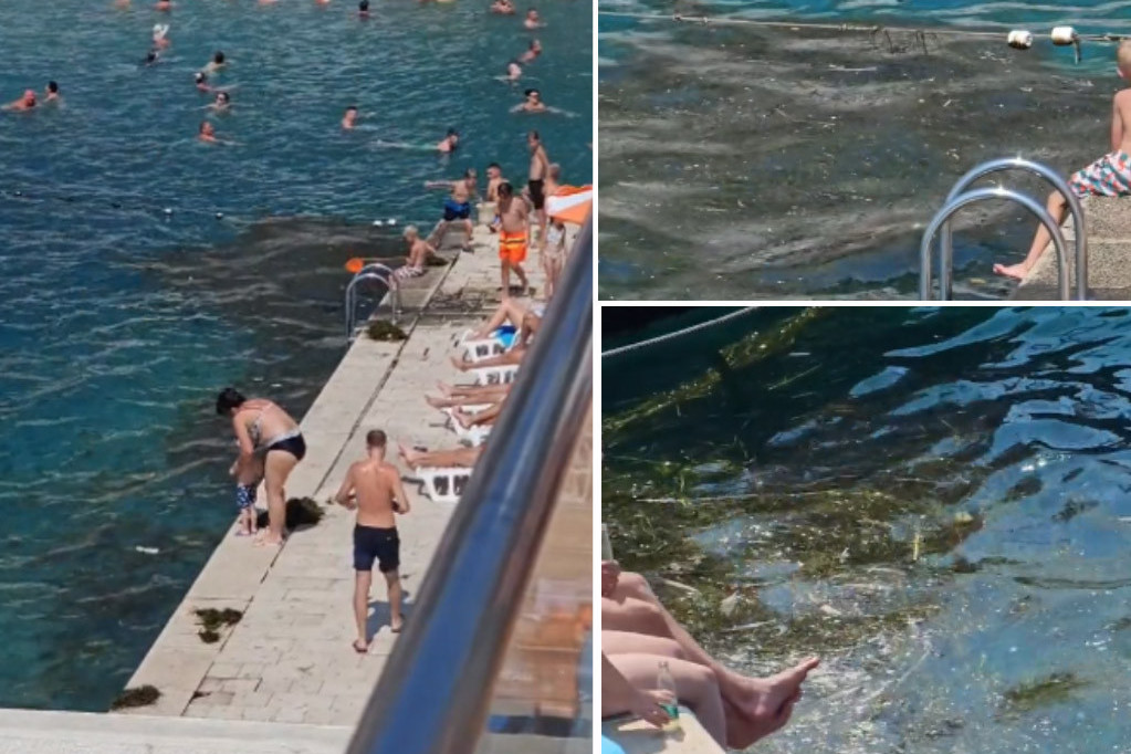 Ljudi šokirani prizorom sa plaže koju Srbi rado posećuju: "Fekalije idu u more, kao da se kupamo u septičkoj jami" (VIDEO)